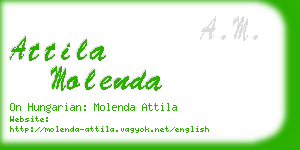 attila molenda business card